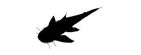 Logo Plecost